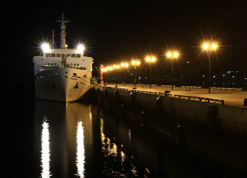 KLAVDIYA YELANSKAYA Passenger Ship IMO 7422922 photo 3