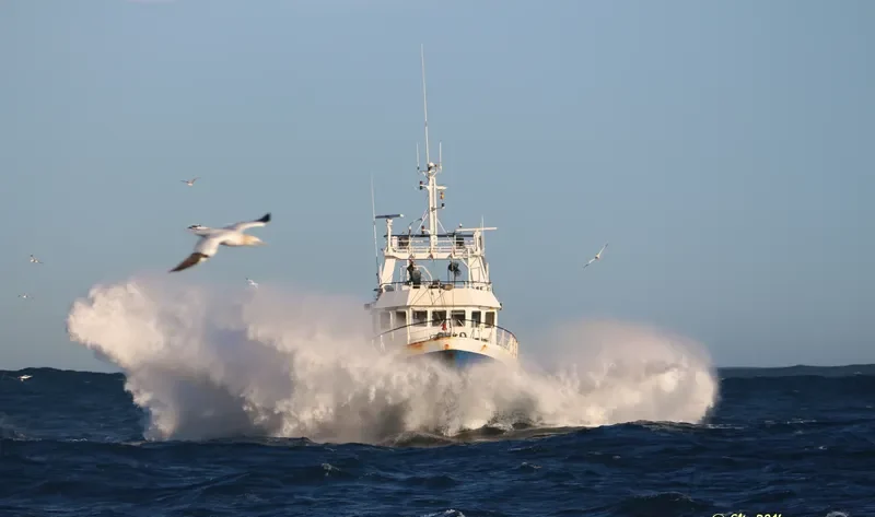 PENINSULA Fishing Vessel IMO 7422946 photo 7
