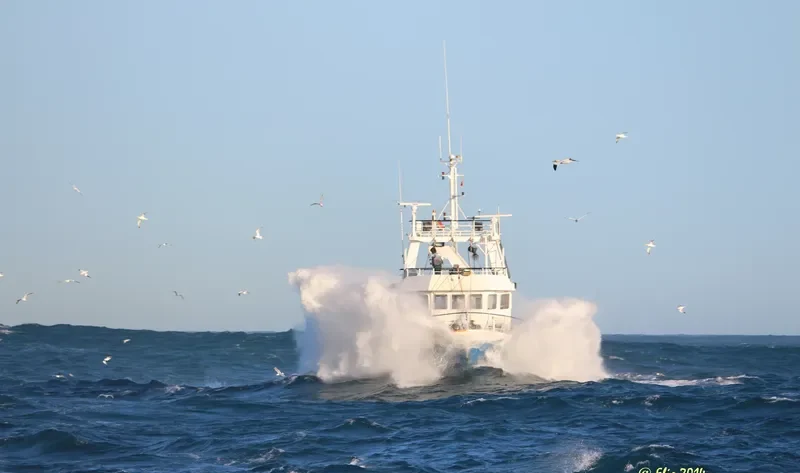PENINSULA Fishing Vessel IMO 7422946 photo 8