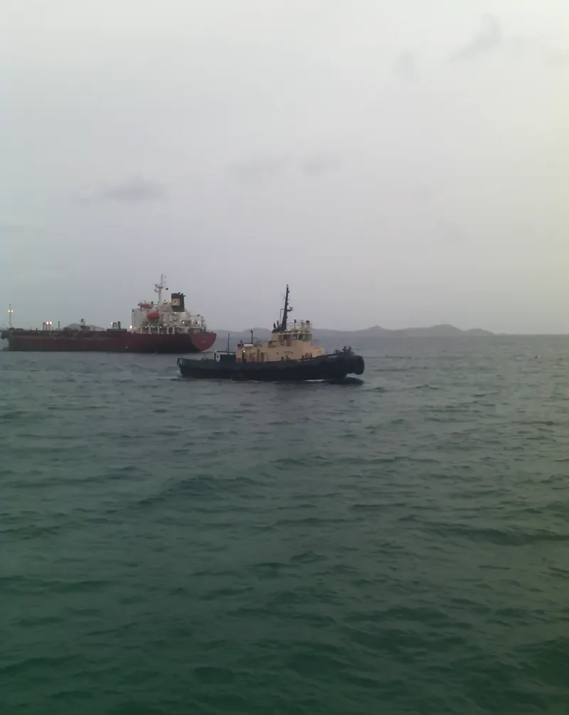 EDINA Tug Boat IMO 7422984 photo 3