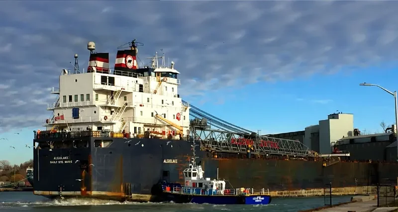 ALGOLAKE Bulk Carrier IMO 7423093 photo 2