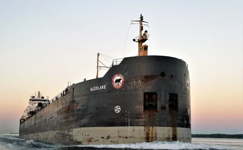 ALGOLAKE Bulk Carrier IMO 7423093 photo 3