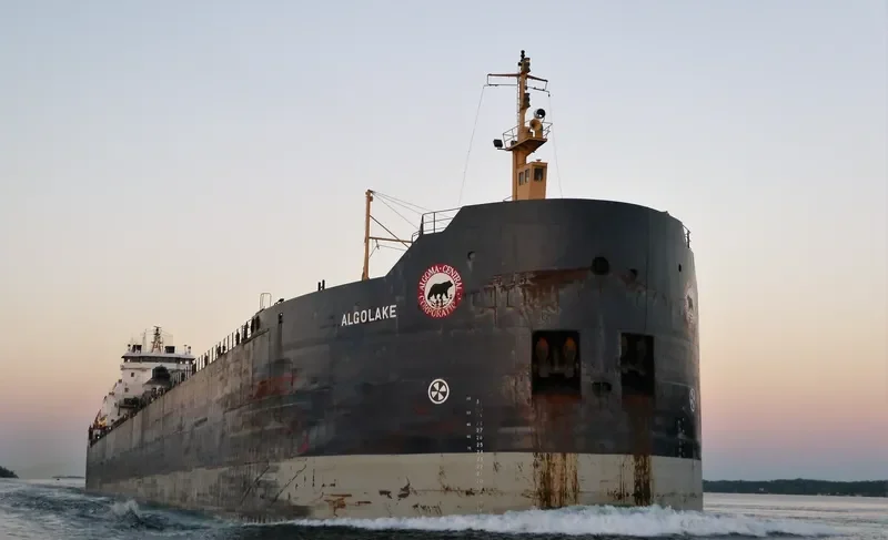 ALGOLAKE Bulk Carrier IMO 7423093 photo 4
