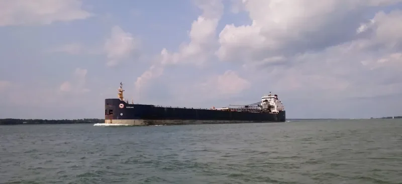 ALGOLAKE Bulk Carrier IMO 7423093 photo 10