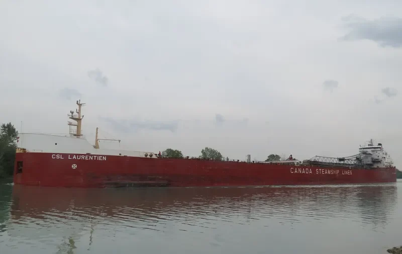 CSL LAURENTIEN Bulk Carrier IMO 7423108 photo 5
