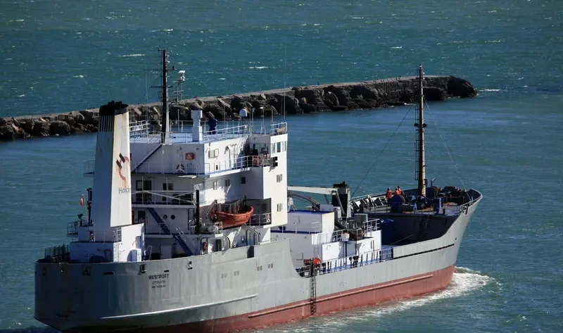 FJORDVIK General Cargo IMO 7423249 photo 3