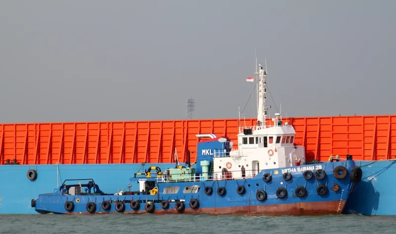 ARTHA SARANA 28 General Cargo IMO 7423770 photo 2