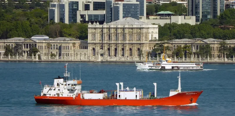 MILANGAZ III General Cargo IMO 7423885