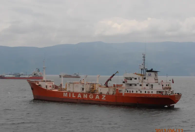MILANGAZ III General Cargo IMO 7423885 photo 5