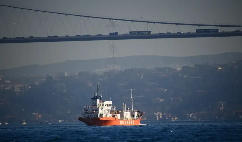 MILANGAZ III General Cargo IMO 7423885 photo 6