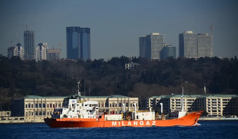 MILANGAZ III General Cargo IMO 7423885 photo 7