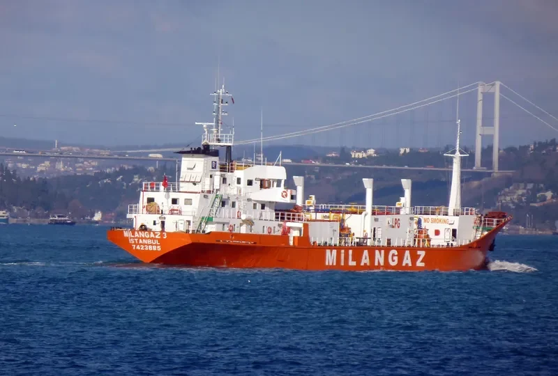 MILANGAZ III General Cargo IMO 7423885 photo 10
