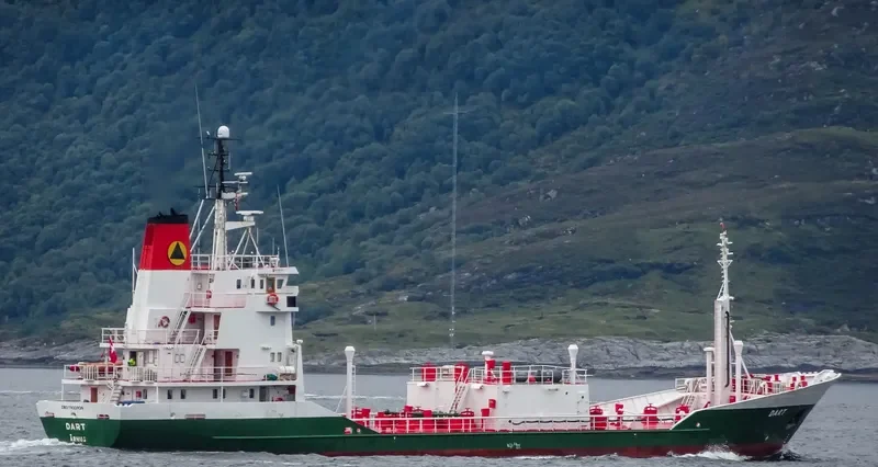 SCANBIO DART General Cargo IMO 7423926 photo 3