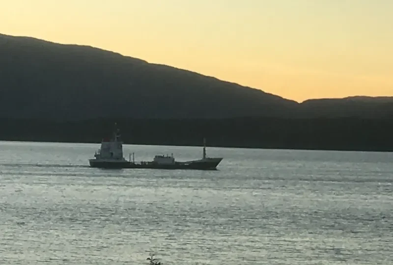 SCANBIO DART General Cargo IMO 7423926 photo 5