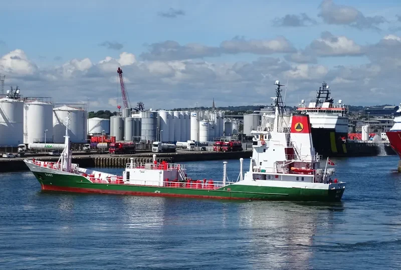 SCANBIO DART General Cargo IMO 7423926 photo 7