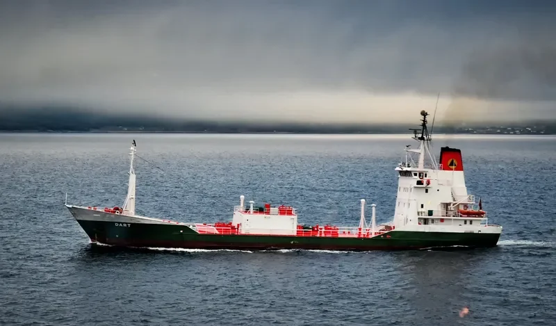 SCANBIO DART General Cargo IMO 7423926 photo 9