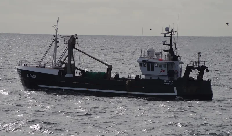 SUSANITA General Cargo IMO 7423952 photo 5