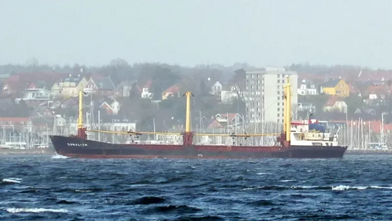 ARWA General Cargo IMO 7424061 photo 3