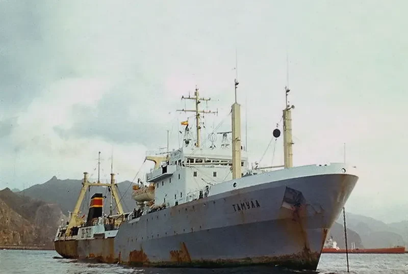 ANGEL SHARK General Cargo IMO 7424425 photo 2