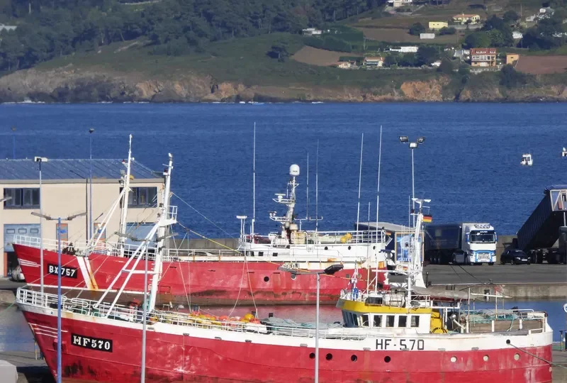 ORTEGAL TRES General Cargo IMO 7424580 photo 7
