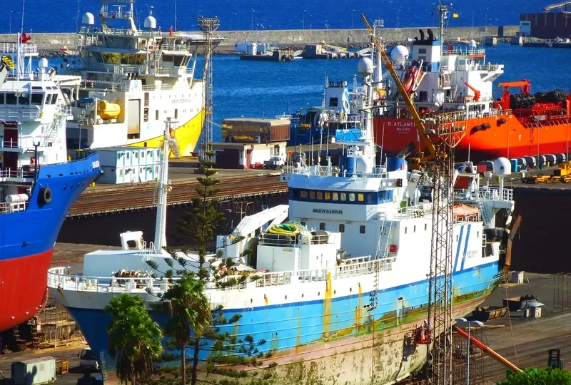 AMELIA General Cargo IMO 7424671 photo 7