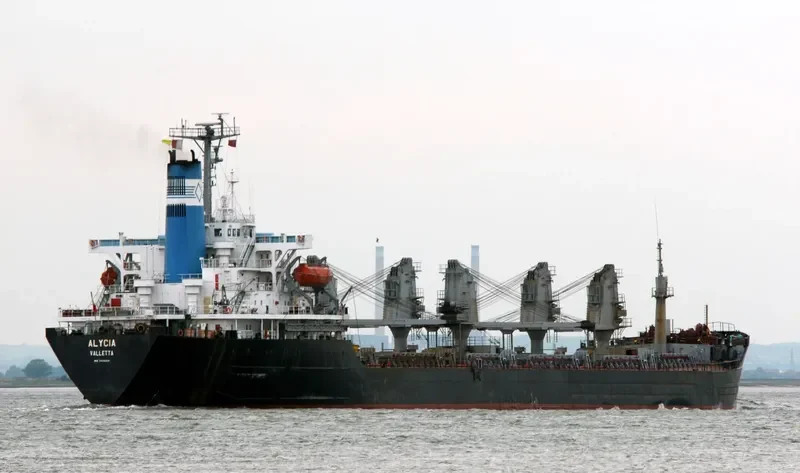 ALYCIA Bulk Carrier IMO 7426241
