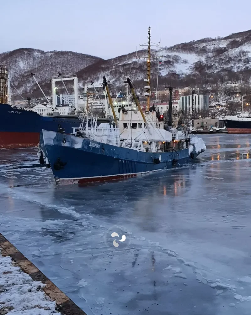 DOBRINO General Cargo IMO 7426992