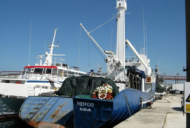 PELAGOS II General Cargo IMO 7427178 photo 2