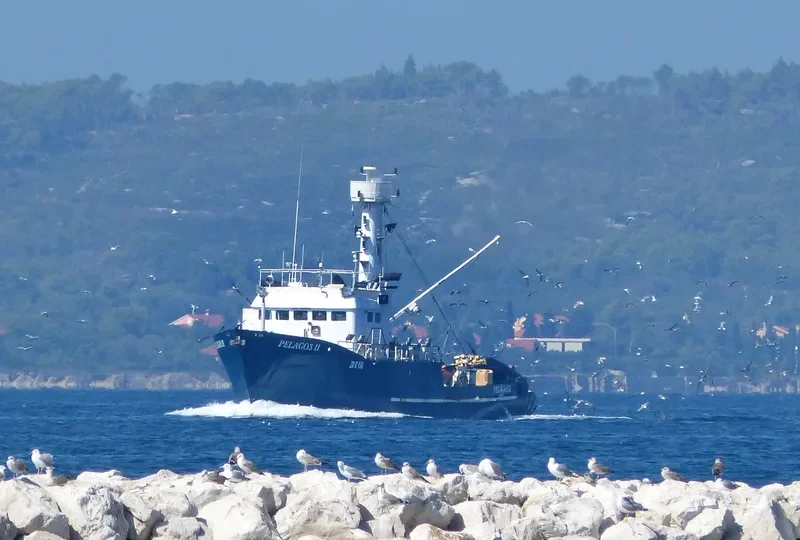 PELAGOS II General Cargo IMO 7427178 photo 5