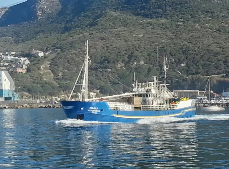 OCEANA VIKING General Cargo IMO 7427192 photo 2