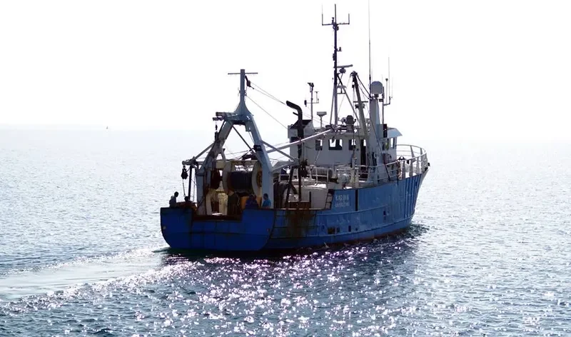 KARIMA General Cargo IMO 7427403 photo 7