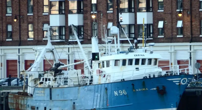 KARIMA General Cargo IMO 7427403 photo 8