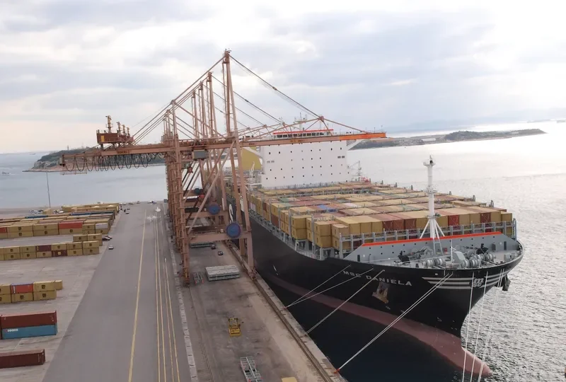 MSC DANIELA Container Ship IMO 7427570 photo 3