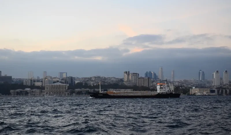 TRANSMAR General Cargo IMO 7427611 photo 8