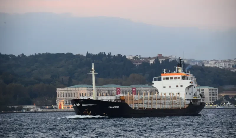 TRANSMAR General Cargo IMO 7427611 photo 9