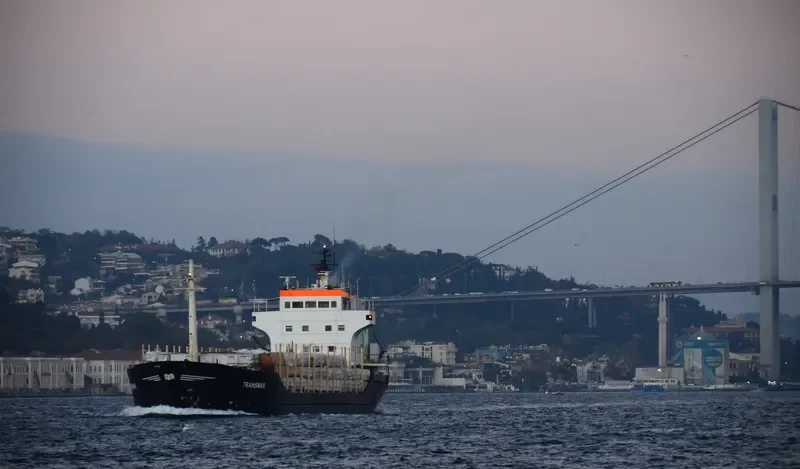 TRANSMAR General Cargo IMO 7427611 photo 10