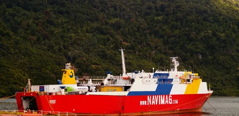AMADEO I Ro-Ro IMO 7427752 photo 2