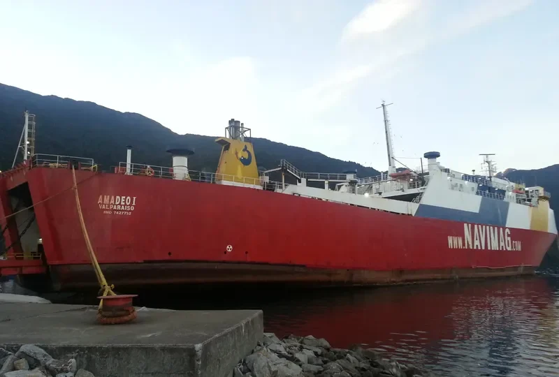 AMADEO I Ro-Ro IMO 7427752 photo 5