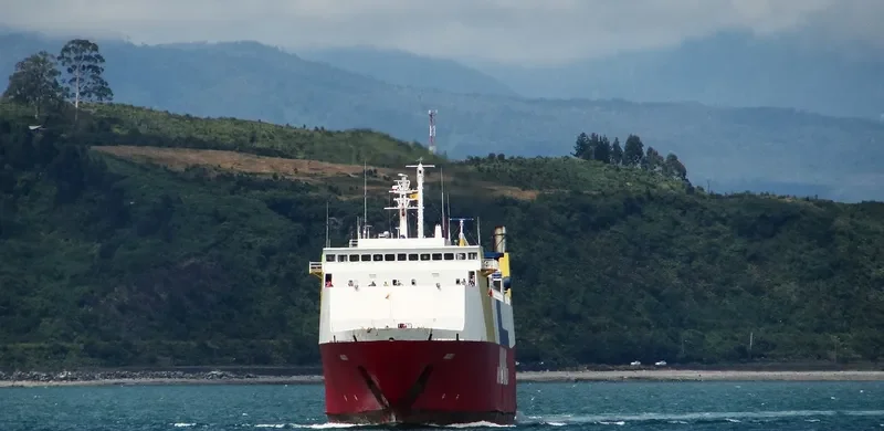 AMADEO I Ro-Ro IMO 7427752 photo 6