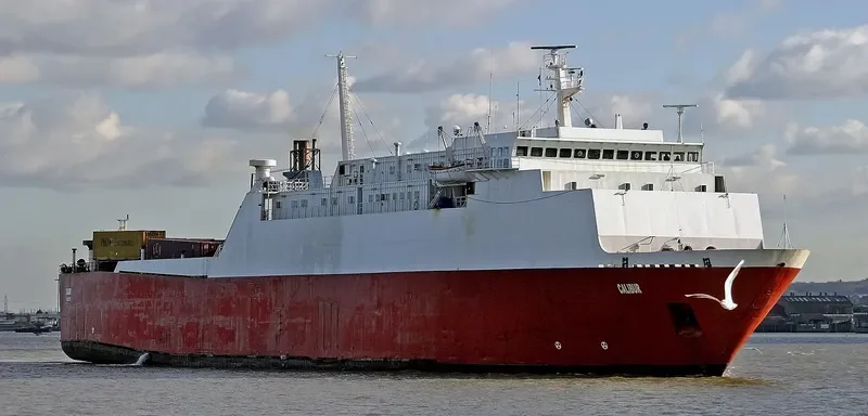 AMADEO I Ro-Ro IMO 7427752 photo 8