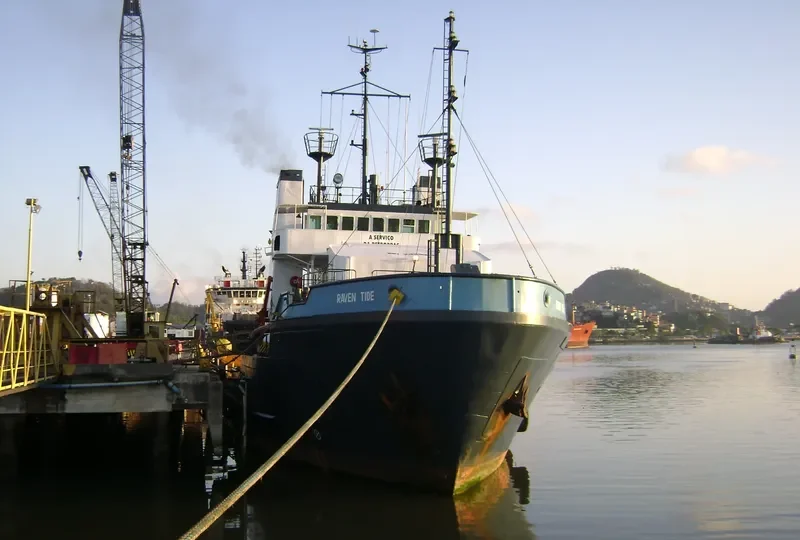 RAVEN TIDE General Cargo IMO 7429164 photo 2