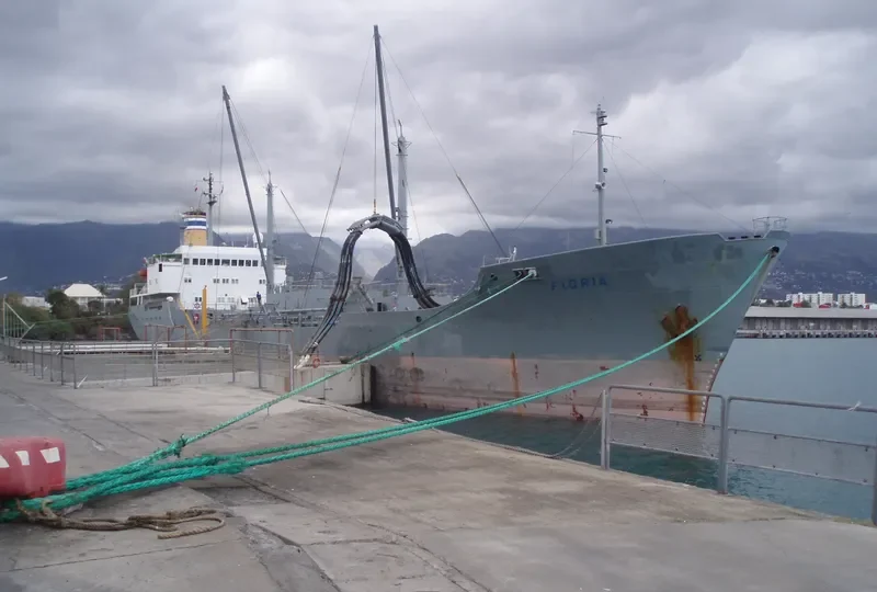 FLORIA General Cargo IMO 7429231 photo 2