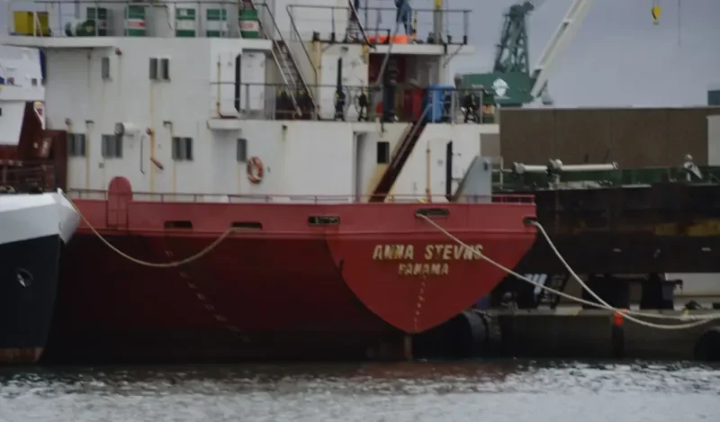 ANNA STEVNS General Cargo IMO 7429281