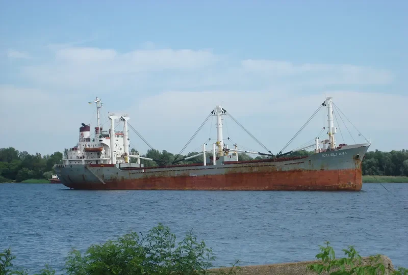 KALELI ANA General Cargo IMO 7429322 photo 3