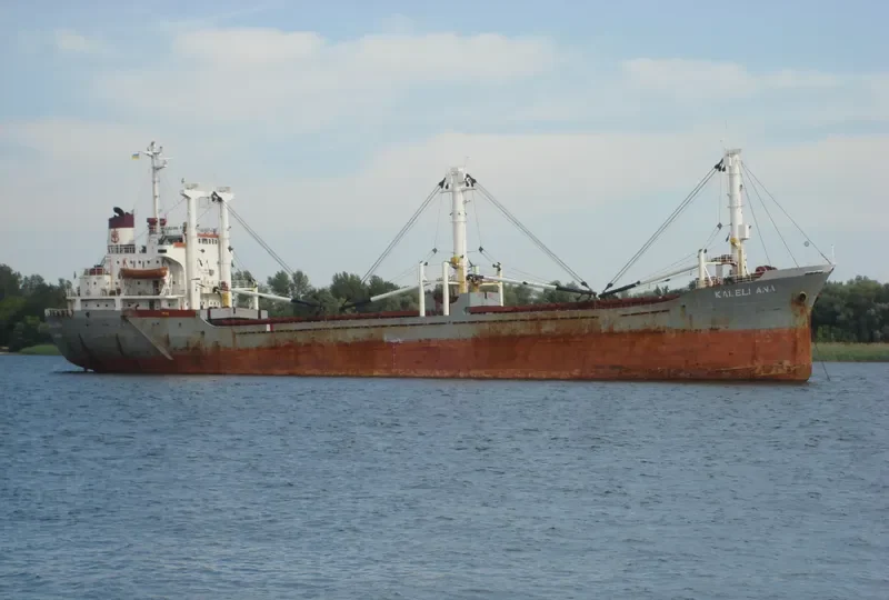KALELI ANA General Cargo IMO 7429322 photo 4