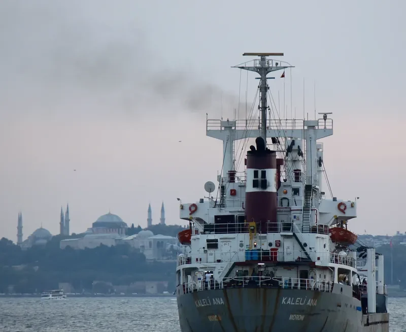 KALELI ANA General Cargo IMO 7429322 photo 7