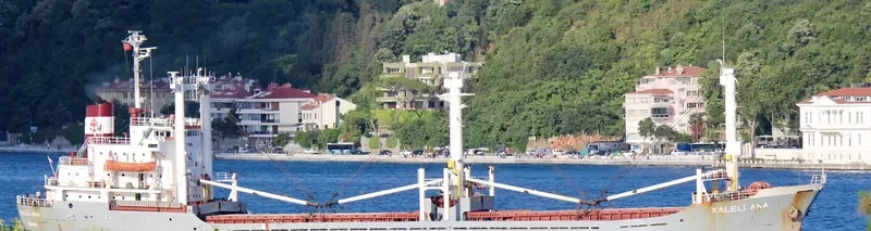 KALELI ANA General Cargo IMO 7429322 photo 8