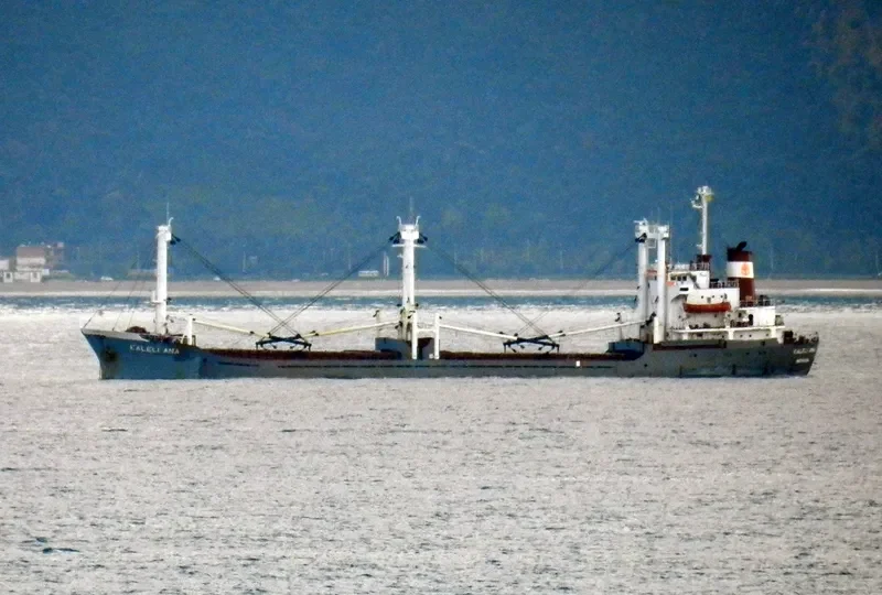 KALELI ANA General Cargo IMO 7429322 photo 9