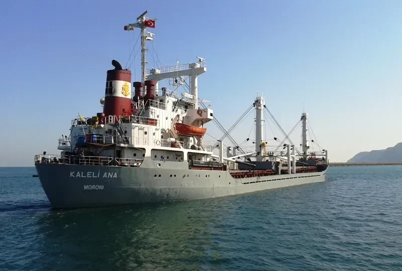 KALELI ANA General Cargo IMO 7429322 photo 10