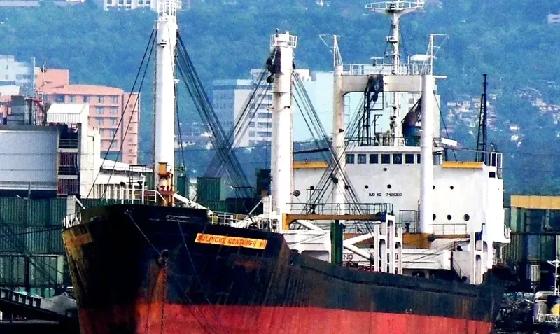 SULPICIO CONTAINER 12 General Cargo IMO 7429360 photo 3